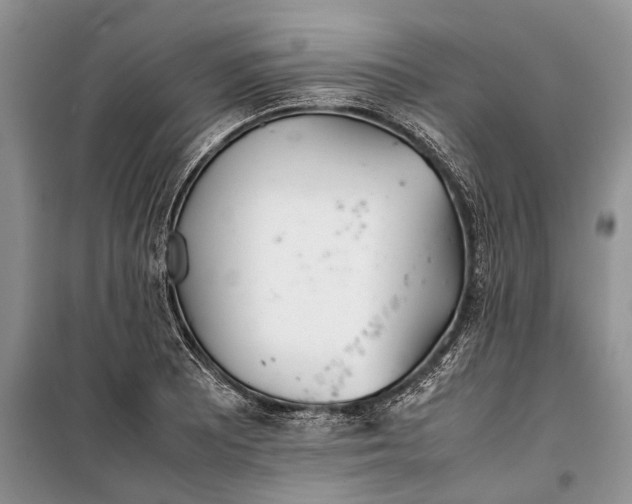 X0000100221081200806131309