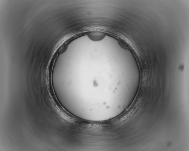 X0000100221082200806131309