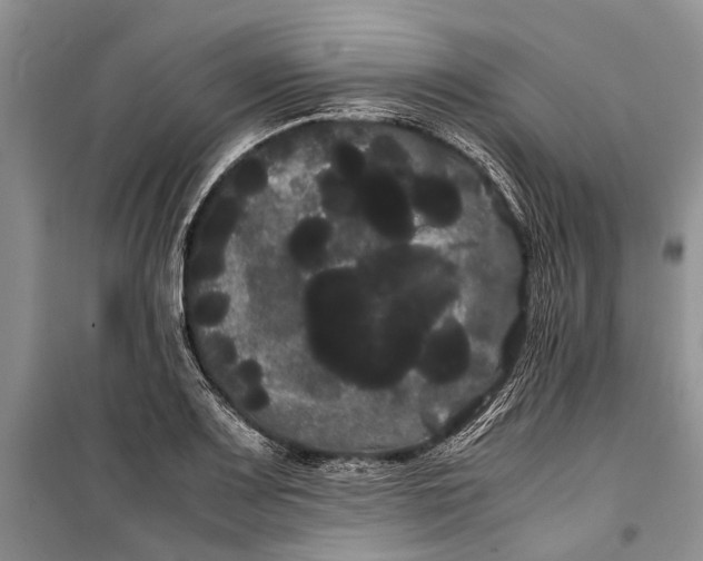 X0000100221083200806131309