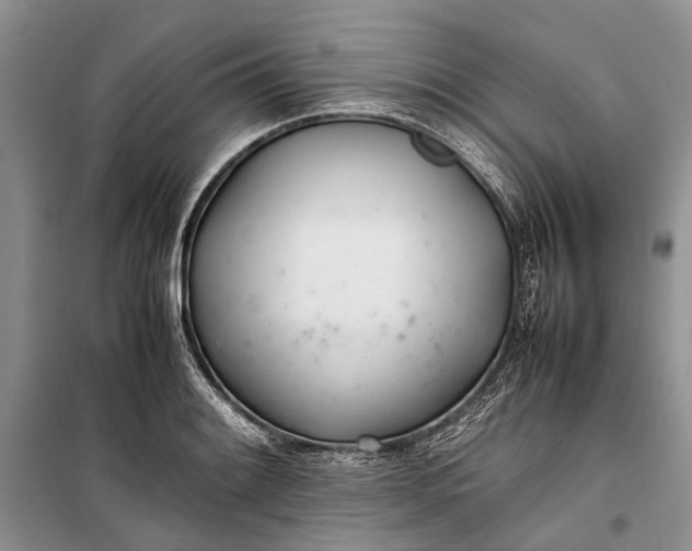 X0000100221084200806131309