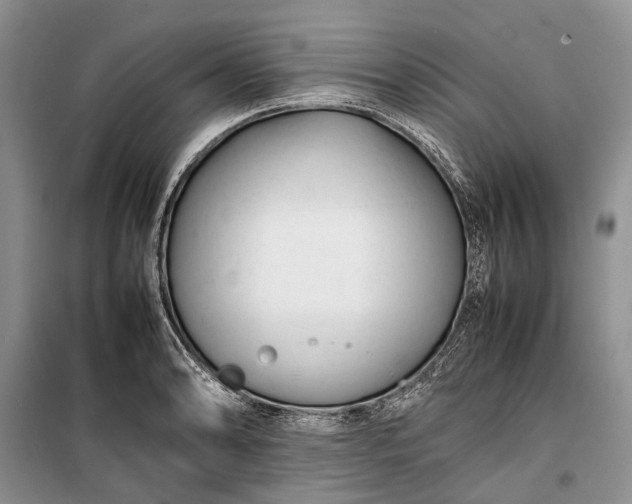 X0000100221086200806131309