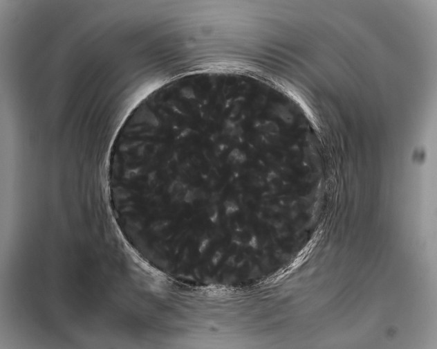 X0000100221087200806131309