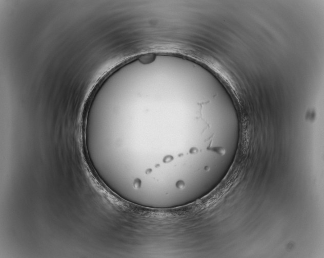 X0000100221088200806131309