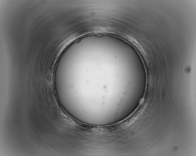 X0000100221089200806131309