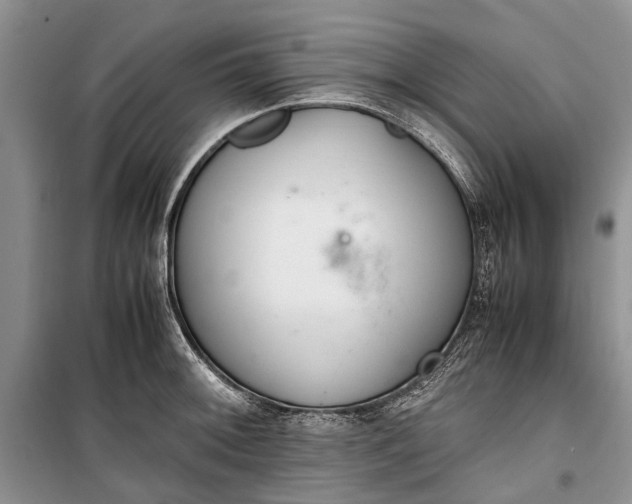 X0000100221092200806131309