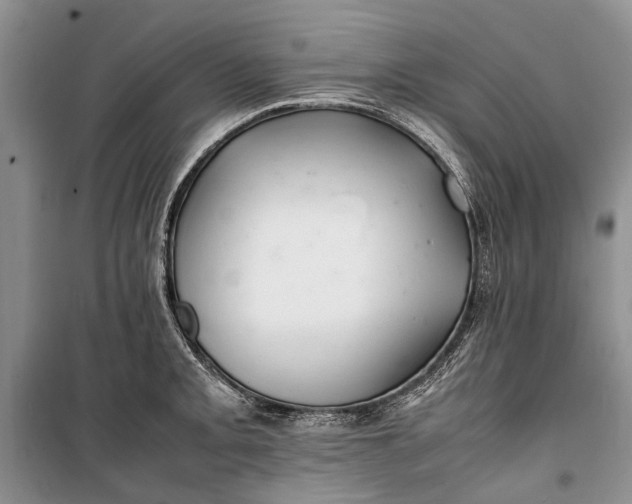 X0000100221093200806131309