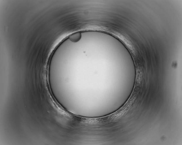 X0000100221094200806131309