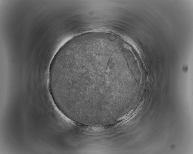 X0000100221095200806131309