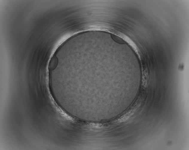 X0000100221096200806131309