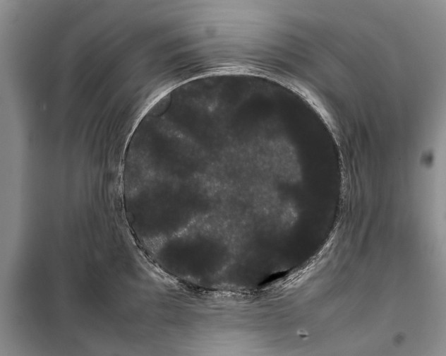 X0000100221097200806131309