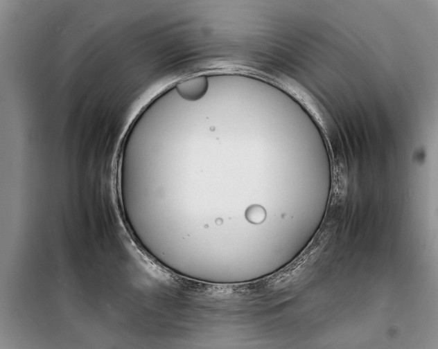 X0000100221098200806131309