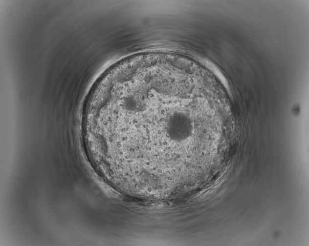 X0000100221099200806131309