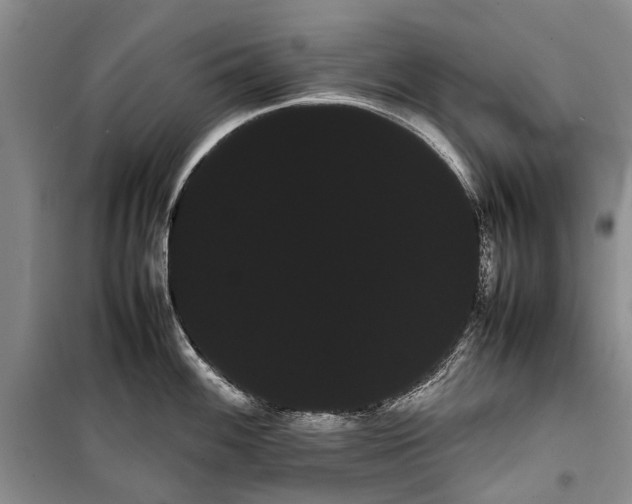 X0000100221100200806131309