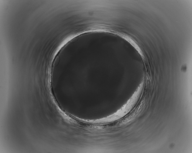 X0000100221101200806131309