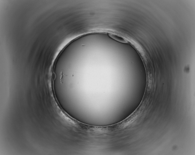 X0000100221102200806131309