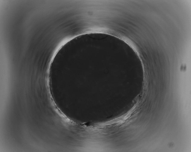 X0000100221104200806131309