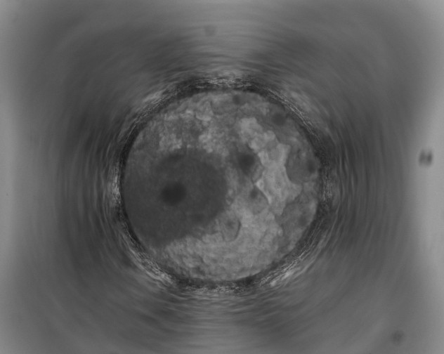 X0000100221106200806131308