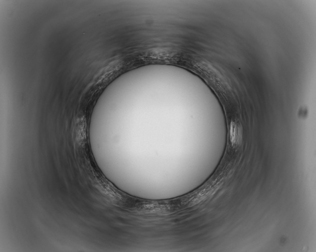 X0000100221107200806131308