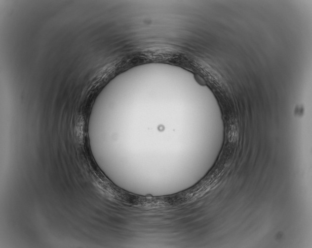 X0000100221108200806131308