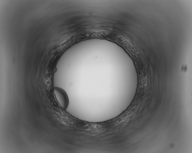 X0000100221109200806131308