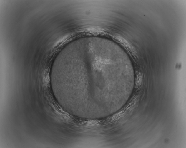 X0000100221110200806131308