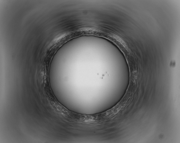 X0000100221111200806131308