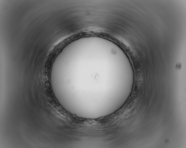 X0000100221112200806131308