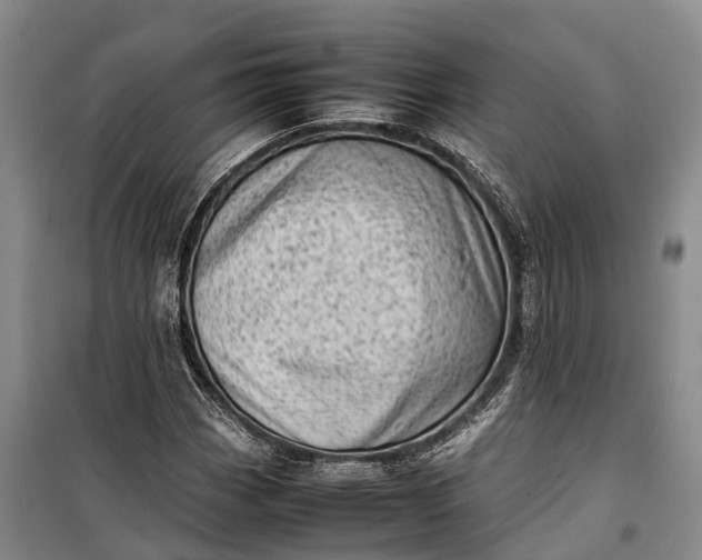 X0000100221113200806131308