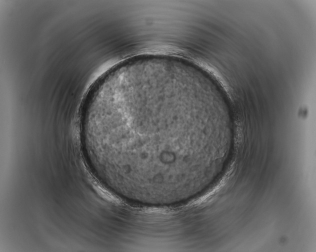 X0000100221114200806131308