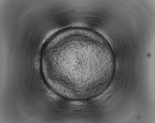 X0000100221115200806131308