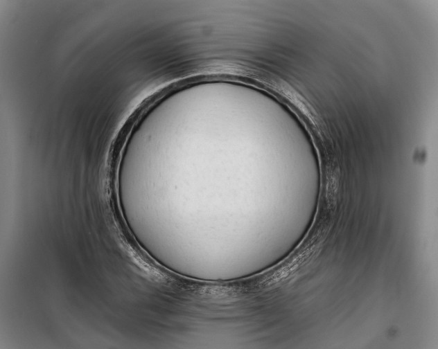 X0000100221116200806131308