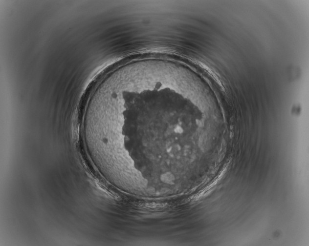 X0000100221117200806131308