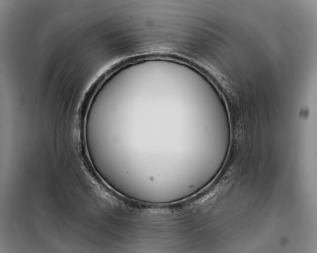 X0000100221118200806131308