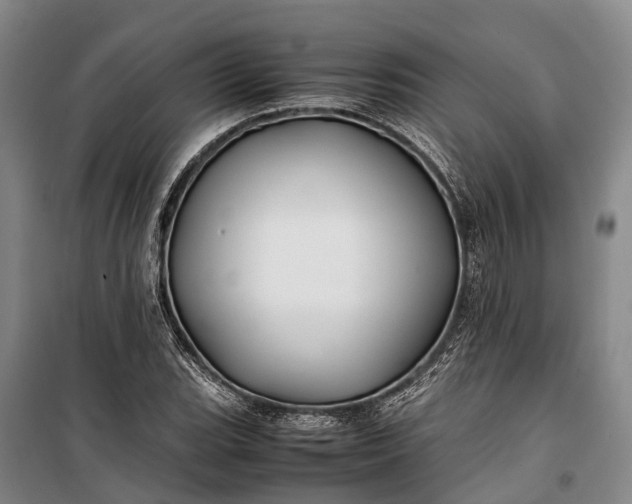 X0000100221119200806131308