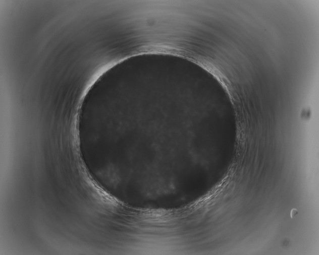 X0000100221120200806131308