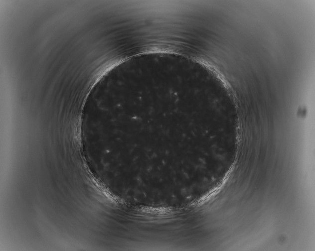 X0000100221121200806131308