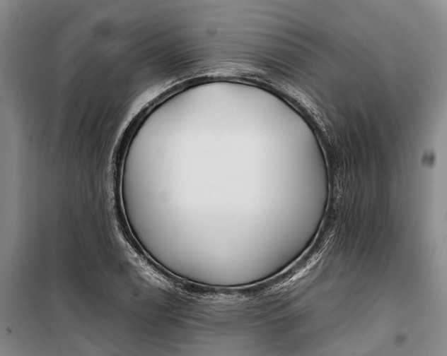 X0000100221122200806131308