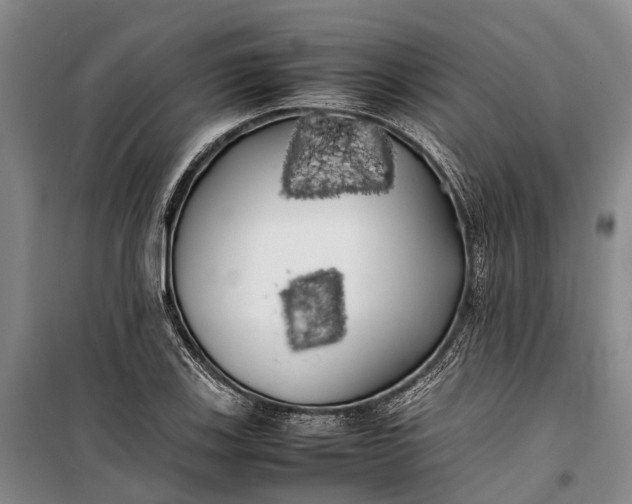 X0000100221123200806131308