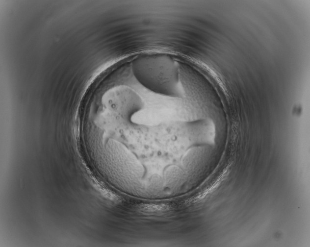 X0000100221125200806131308