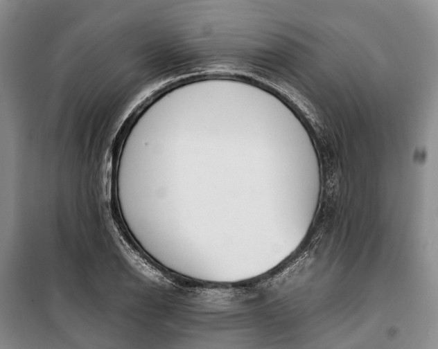 X0000100221126200806131308