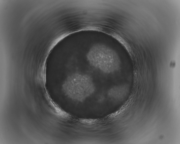 X0000100221127200806131308