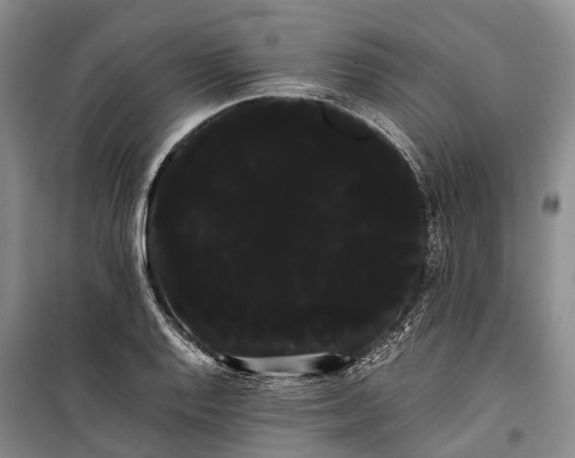 X0000100221128200806131308