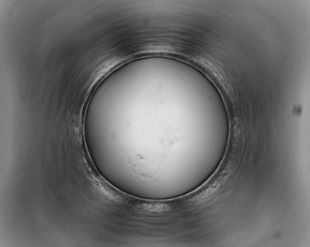 X0000100221129200806131308