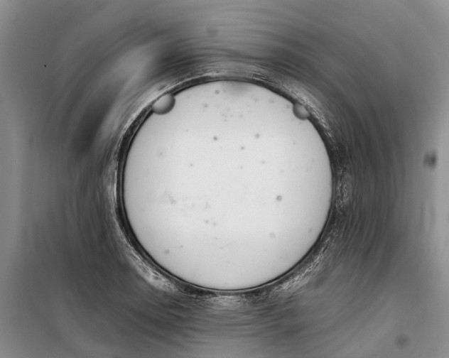 X0000100221130200806131308