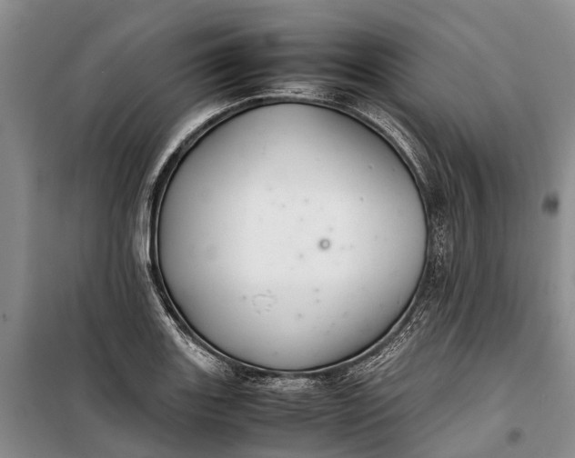 X0000100221131200806131308