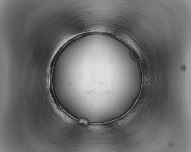 X0000100221132200806131308