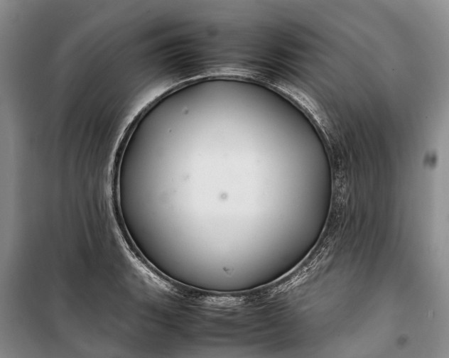 X0000100221135200806131308