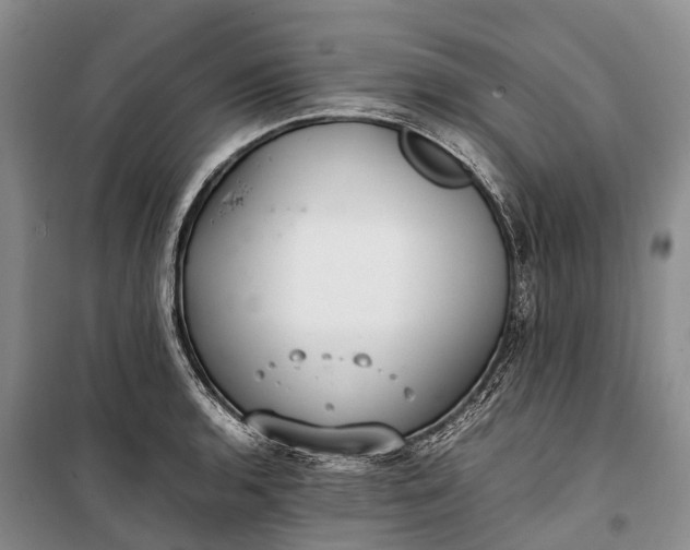 X0000100221136200806131308