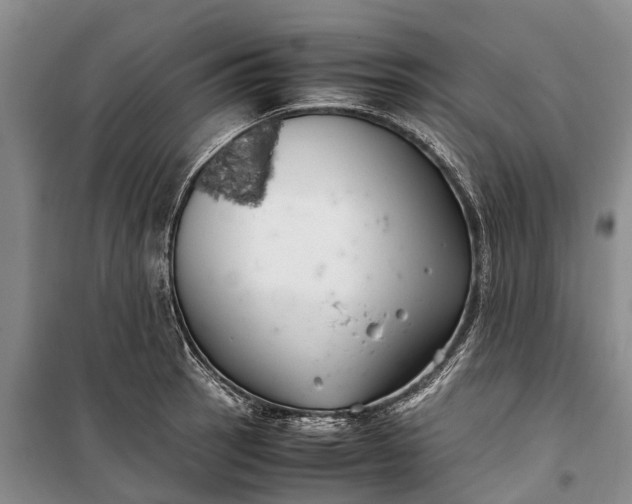 X0000100221137200806131308