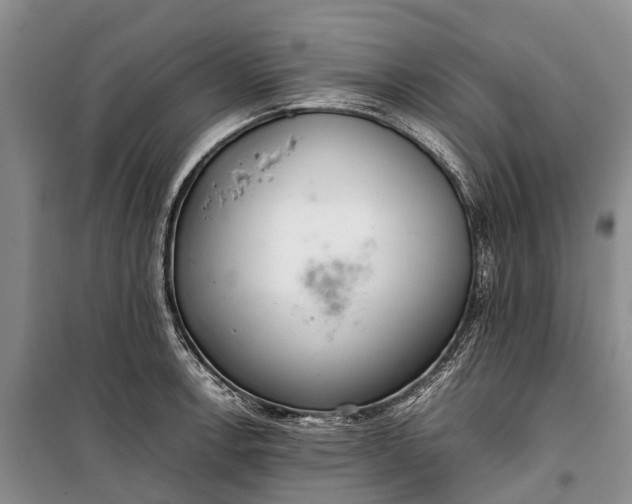 X0000100221138200806131308